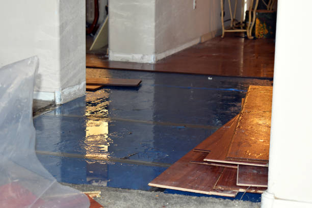 Professional Burst Pipe Cleanup technician working in Swansea, MA